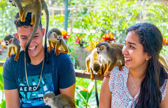Monkeyland – Visite guidée d'une demi-journée avec transferts - Photo 1